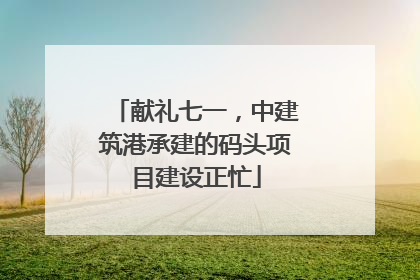 献礼七一，中建筑港承建的码头项目建设正忙