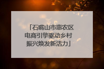 石嘴山市惠农区电商引擎驱动乡村振兴焕发新活力