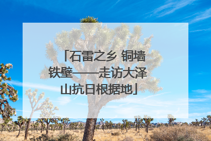 石雷之乡 铜墙铁壁——走访大泽山抗日根据地