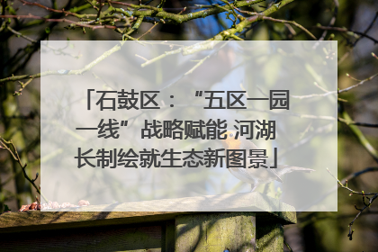 石鼓区：“五区一园一线”战略赋能 河湖长制绘就生态新图景