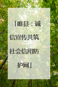 睢县：诚信宣传共筑社会信用防护网