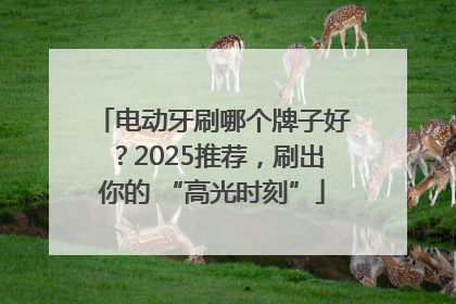 电动牙刷哪个牌子好？2025推荐，刷出你的 “高光时刻”