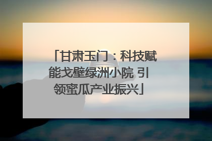 甘肃玉门：科技赋能戈壁绿洲小院 引领蜜瓜产业振兴