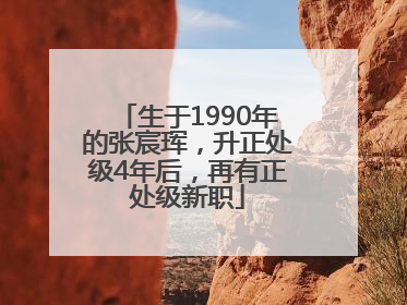 生于1990年的张宸珲，升正处级4年后，再有正处级新职