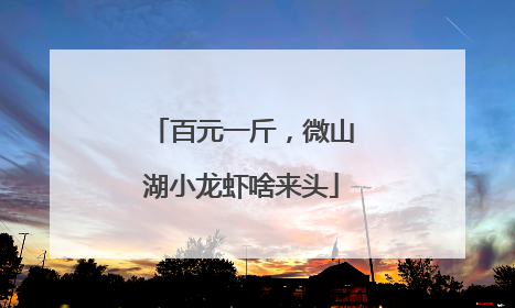 百元一斤，微山湖小龙虾啥来头