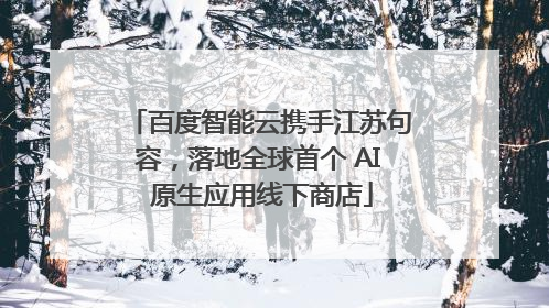 百度智能云携手江苏句容，落地全球首个 AI 原生应用线下商店