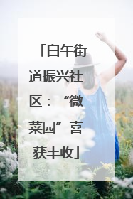 白午街道振兴社区：“微菜园”喜获丰收