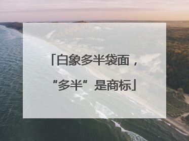 白象多半袋面，“多半”是商标