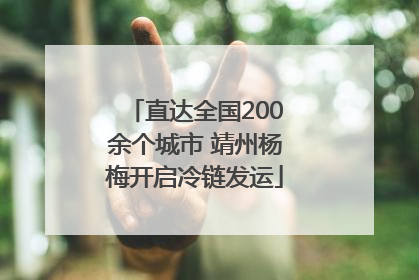 直达全国200余个城市 靖州杨梅开启冷链发运