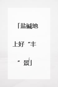 盐碱地上好“丰”景
