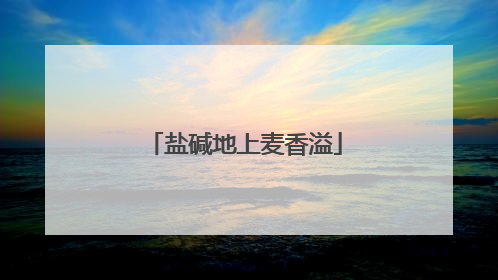 盐碱地上麦香溢