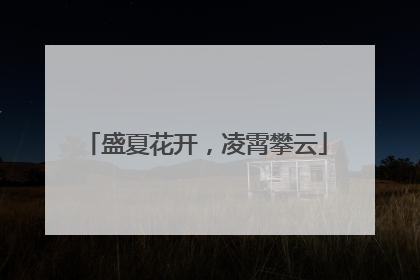 盛夏花开，凌霄攀云