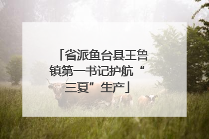 省派鱼台县王鲁镇第一书记护航“三夏”生产