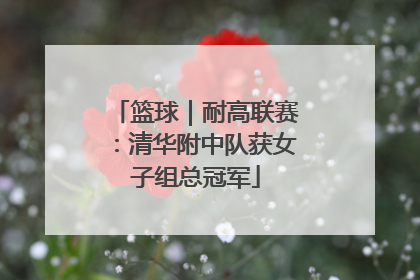 篮球｜耐高联赛：清华附中队获女子组总冠军