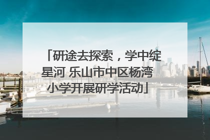 研途去探索，学中绽星河 乐山市中区杨湾小学开展研学活动