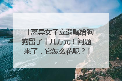 离异女子立遗嘱给狗狗留了十几万元！问题来了，它怎么花呢？
