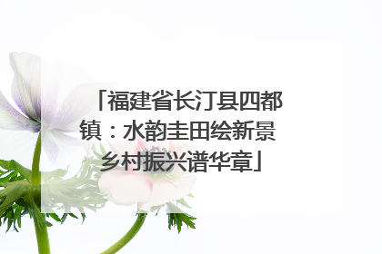 福建省长汀县四都镇：水韵圭田绘新景 乡村振兴谱华章