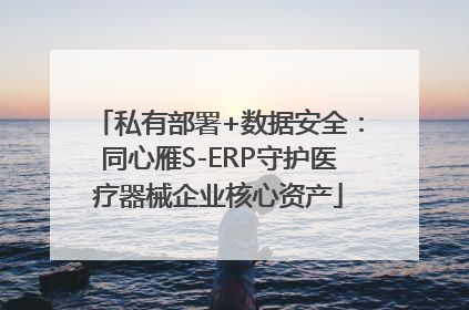 私有部署+数据安全：同心雁S-ERP守护医疗器械企业核心资产