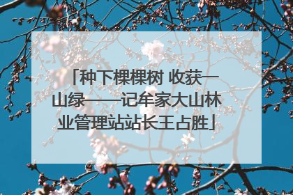 种下棵棵树 收获一山绿——记牟家大山林业管理站站长王占胜
