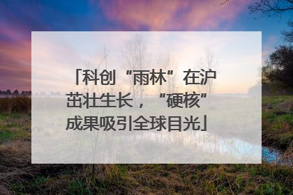 科创“雨林”在沪茁壮生长，“硬核”成果吸引全球目光