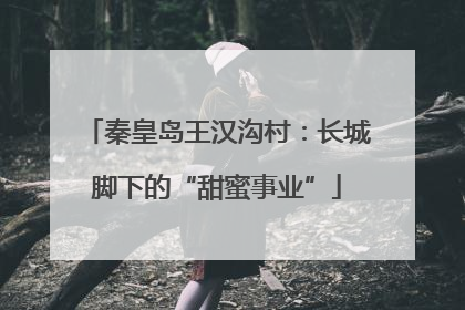 秦皇岛王汉沟村：长城脚下的“甜蜜事业”