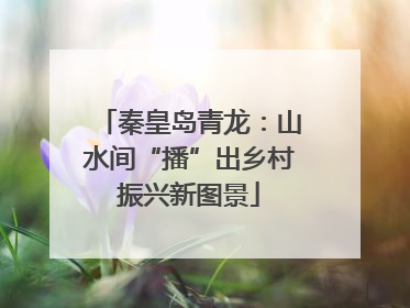 秦皇岛青龙：山水间“播”出乡村振兴新图景