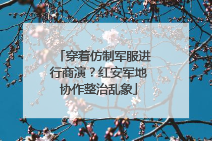 穿着仿制军服进行商演？红安军地协作整治乱象
