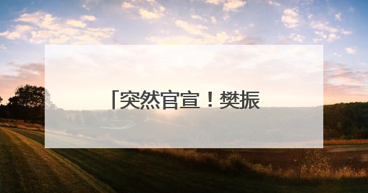 突然官宣！樊振东加盟德甲联赛