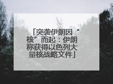 突袭伊朗因“核”而起：伊朗称获得以色列大量核战略文件