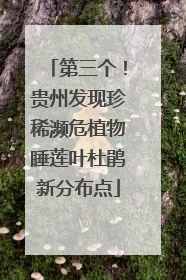 第三个！贵州发现珍稀濒危植物睡莲叶杜鹃新分布点