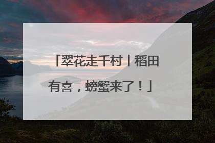 翠花走千村丨稻田有喜，螃蟹来了！