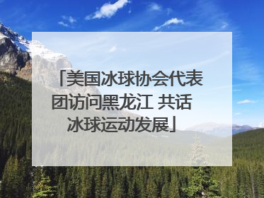美国冰球协会代表团访问黑龙江 共话冰球运动发展