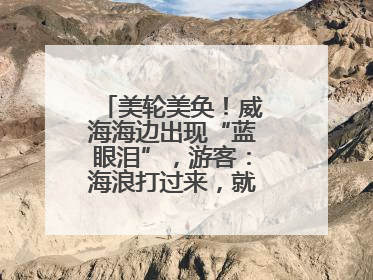 美轮美奂！威海海边出现“蓝眼泪”，游客：海浪打过来，就像星河一样