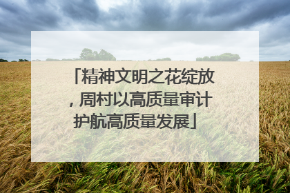 精神文明之花绽放，周村以高质量审计护航高质量发展