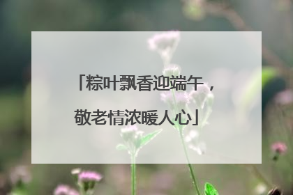 粽叶飘香迎端午，敬老情浓暖人心