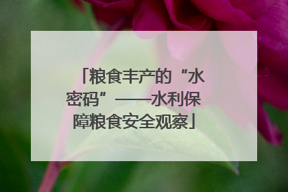 粮食丰产的“水密码”——水利保障粮食安全观察