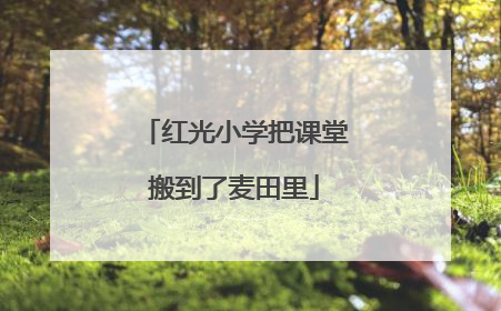 红光小学把课堂搬到了麦田里