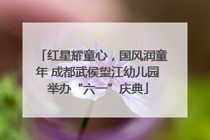红星耀童心，国风润童年 成都武侯望江幼儿园举办“六一”庆典