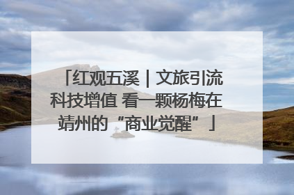红观五溪｜文旅引流 科技增值 看一颗杨梅在靖州的“商业觉醒”