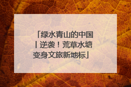 绿水青山的中国丨逆袭！荒草水塘变身文旅新地标