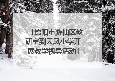 绵阳市游仙区教研室到云凤小学开展教学视导活动