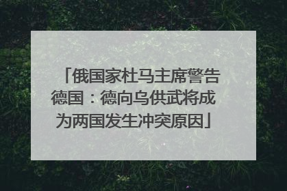 俄国家杜马主席警告德国：德向乌供武将成为两国发生冲突原因