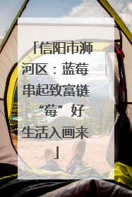 信阳市浉河区：蓝莓串起致富链 “莓”好生活入画来