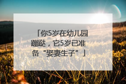 你5岁在幼儿园蹦跶，它5岁已准备“娶妻生子”