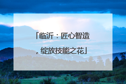 临沂：匠心智造，绽放技能之花