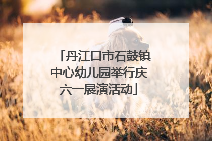 丹江口市石鼓镇中心幼儿园举行庆六一展演活动