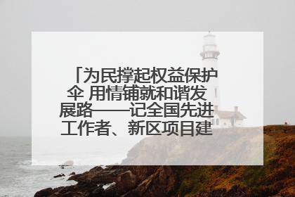 为民撑起权益保护伞 用情铺就和谐发展路——记全国先进工作者、新区项目建设中心干部卢小勇