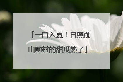 一口入夏！日照前山前村的甜瓜熟了