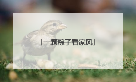 一颗粽子看家风
