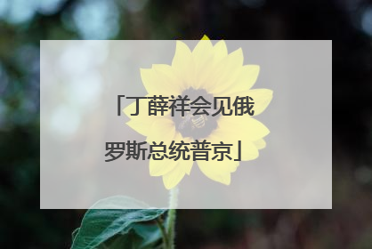 丁薛祥会见俄罗斯总统普京